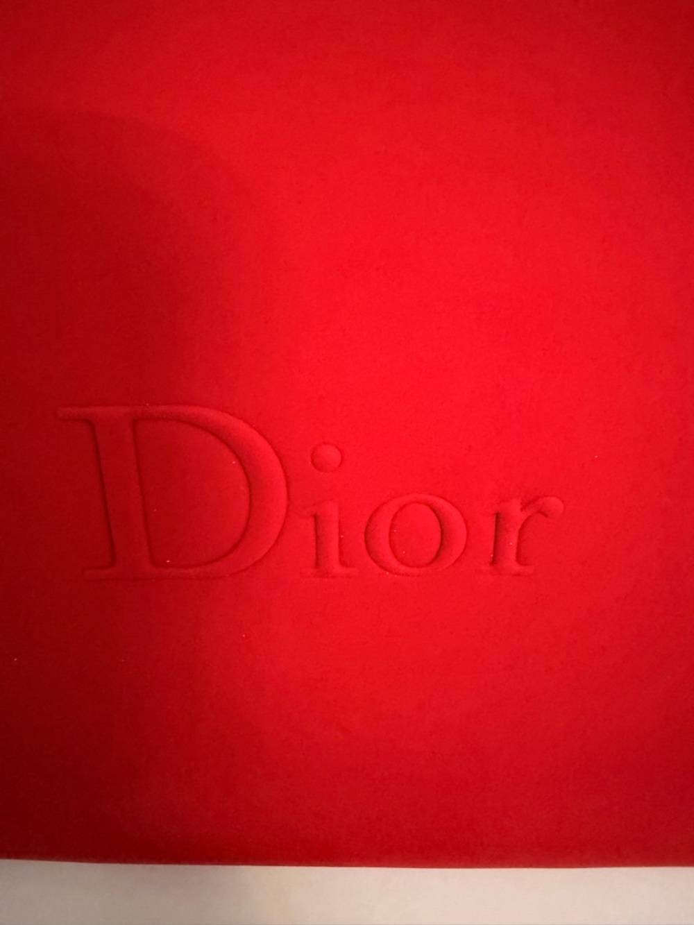 Dior Red Debossed Logo makeup bag
